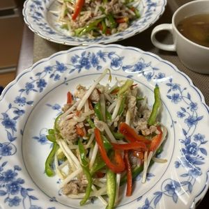 Hikeyの作ってみた!投稿(【豚こまもやしの青椒肉絲風】ご飯が進む節約おかず！)