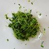 レンジで簡単♪豆苗のめんつゆ和えの工程3