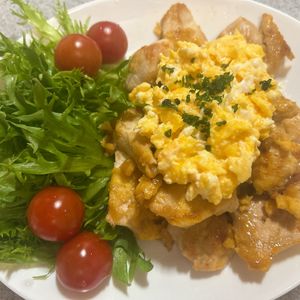 サラの作ってみた!投稿(ワンパン!鶏胸肉南蛮)