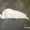 ピリ辛★そうめん♬棒棒鶏風の工程4