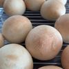 486011の作ってみた!投稿(HBで♡基本のとろける丸パン)