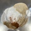 食欲ない日の栄養補給【米粉オートミールクッキー】の工程1