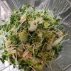 鶏皮坊主の作ってみた!投稿(【白菜とツナの酒蒸しサラダ】副菜や作り置きに！白菜がおいしい)