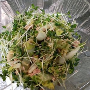 鶏皮坊主の作ってみた!投稿(【白菜とツナの酒蒸しサラダ】副菜や作り置きに！白菜がおいしい)
