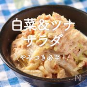 「白菜＆ツナサラダ」20選｜やみつき必至！