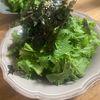 ゆかりの作ってみた!投稿(《3分で出来る♪》わさび菜のやみつきサラダ)