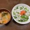 のんの作ってみた!投稿(3分料理♡包丁不要♡SimpleIsBest♡豆苗の胡麻和え)