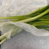 あると便利!薬味葱の冷凍保存方法の工程1