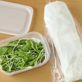 水菜の保存方法