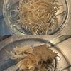 レンジで簡単！お箸がすすむ「きゅうりとハムのもやしナムル」の工程1