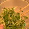 豆苗とささみの塩レモンナムルの工程2