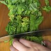 【菜の花 粒マスタード炒め】春を味わう の工程1