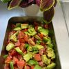 そら・ゆずの作ってみた!投稿(トマトとアボカドの和風ハニーマスタードサラダ🍅🥑🍯)
