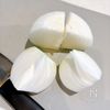 5分で完成!春のごちそう『新玉ねぎのチーズココット』の下準備