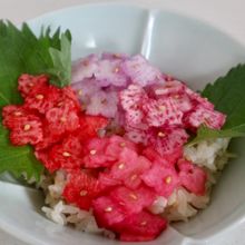 紫陽花ごはん