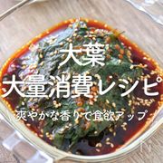「大葉の大量消費レシピ」30選｜爽やかな香りで食欲アップ