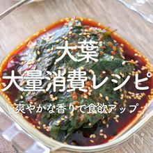 「大葉の大量消費レシピ」30選｜爽やかな香りで食欲アップ