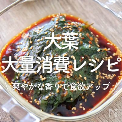 「大葉の大量消費レシピ」30選|爽やかな香りで食欲アップ