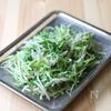 もやしと豆苗のナムルの工程4