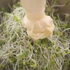 【10分でできる野菜のレシピ】スプラウトとさばのサンドイッチの工程1