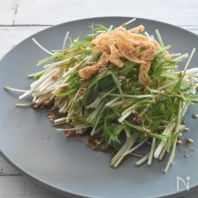 食感がおいしい!抱えて食べたい♪水菜と油揚げのサラダ
