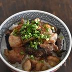 ナスと豚バラ肉のめんつゆポン酢丼