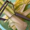 白出汁でセロリの浅漬けの工程1