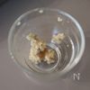 鶏もも肉とごぼうの炊き込みごはんの工程4