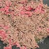 牛そぼろ・トマト風味（ミートソース）の工程1
