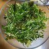 みっつんの作ってみた!投稿(豆苗のやみつきサラダ)