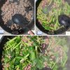 小松菜と卵のひき肉あんかけ丼│10分で完成!一皿で栄養満点の工程3
