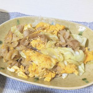 莉子の作ってみた!投稿(【旨だれ豚たまキャベツ丼】ボリューム満点！がっつり丼♪)