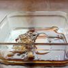 蒸しナスと大葉の南蛮漬けの工程3
