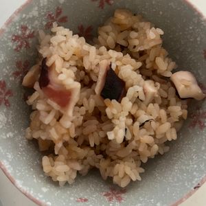 ミキティの作ってみた!投稿(【基本のタコ飯】お代わり必至！タコが縮まず美味！)