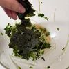 『カイワレのりポンサラダ』和えるだけ！の工程2