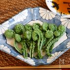 シンプルで美味しい！こごみのお刺身