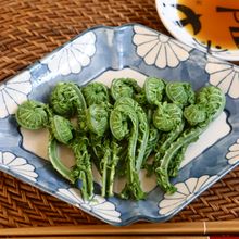 シンプルで美味しい!こごみのお刺身