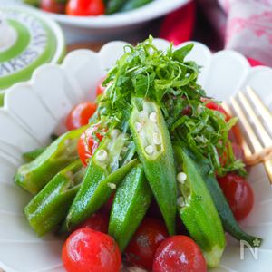 ★ミニトマト9kg、オクラ1kg★ 農薬不使用 朝採れお野菜詰め合わせセット デコきゅうり ミニ