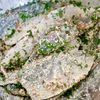 フライパンで絶品【鯵のバジルチーズ焼き】ごはんやパンに合う◎の工程2