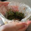 暖かい日に食べたくなる！大葉の梅めんつゆ漬けおにぎりの工程4