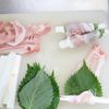 サクうま♡【長芋と大葉の肉巻き】ポン酢だれでさっぱり美味の工程2
