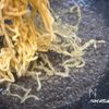ゆず香る！アサリが主役の和風ラーメンの工程8