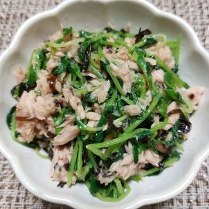 よっこの作ってみた!投稿(豆苗１袋１人で余裕♡豆苗のツナ塩昆布サラダ)