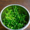 豆腐と豆苗のごま味噌マヨ和えの工程1