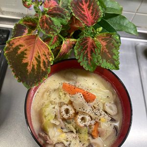 そら・ゆずの作ってみた!投稿(【みそちゃんぽんスープ】野菜たっぷり！)