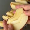 りんごのガトーインビジブルの工程1