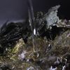お砂糖不使用!海苔の佃煮の工程1