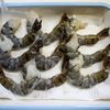 たまには まん丸海老フライとタルタルソースの下準備