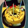 チョロリスの作ってみた!投稿(【チョコチップシフォンケーキ】しっとりふわふわ♡極上の味！)