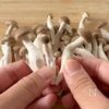 【チキンのクリーム煮】簡単なのに見栄え良し！クリスマスにも！の工程1